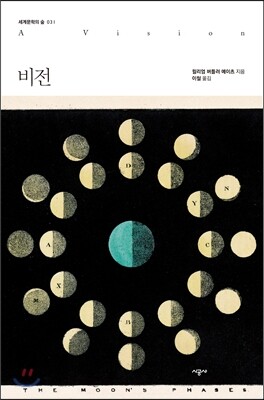 비전