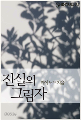 진실의 그림자