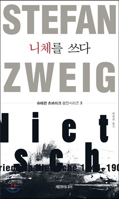 니체를 쓰다