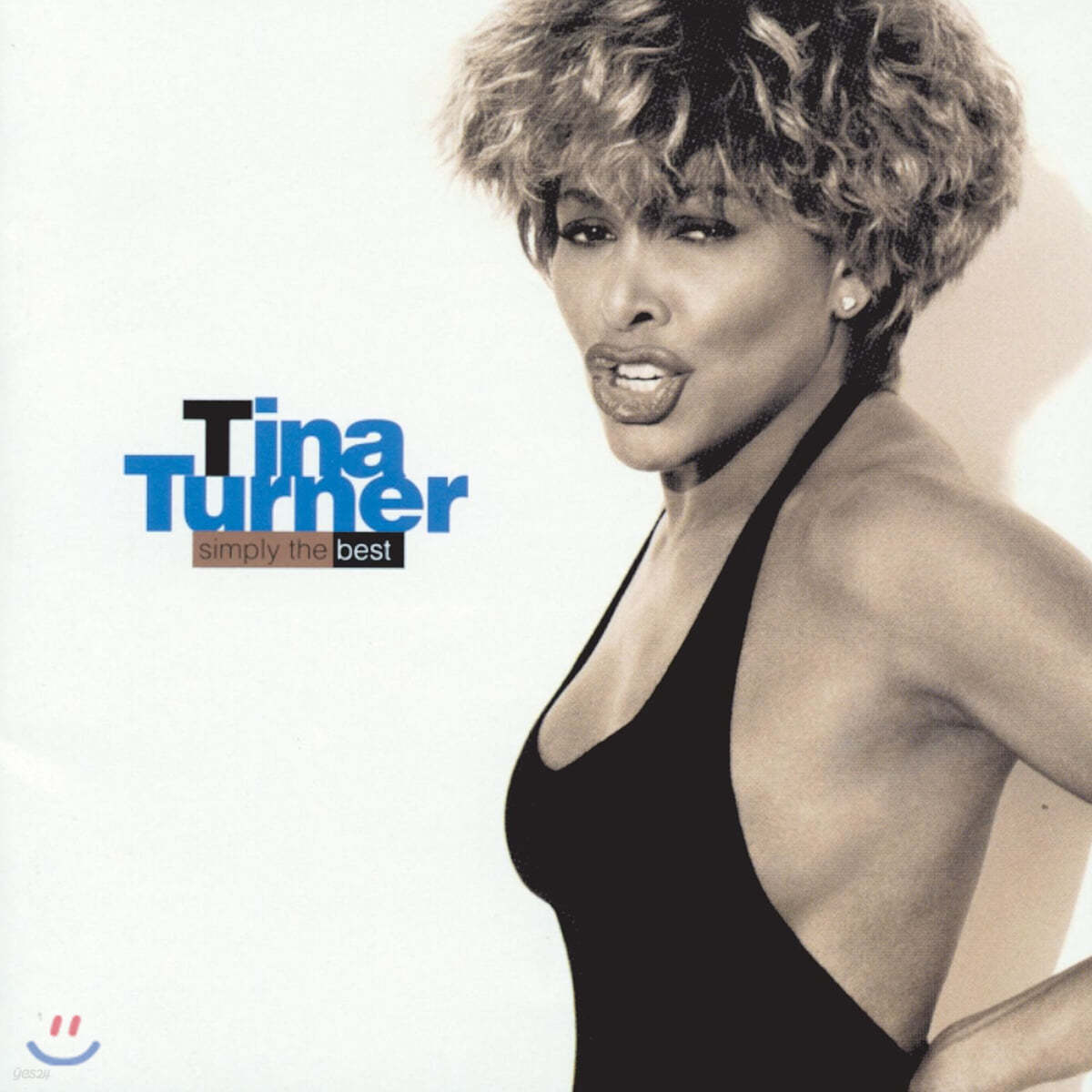 Tina Turner (티나 터너) - Simply The Best [2LP]