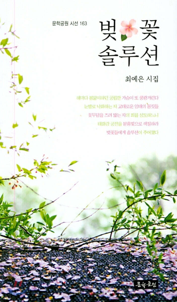 벚꽃 솔루션