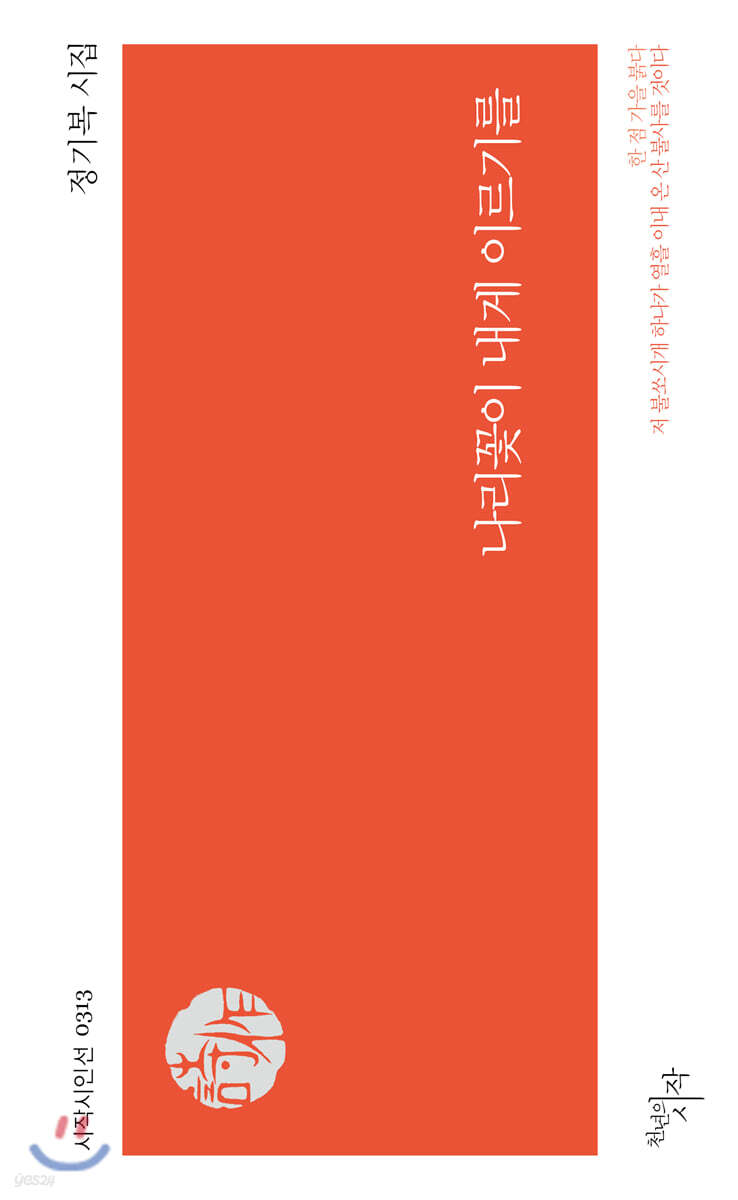 나리꽃이 내게 이르기를