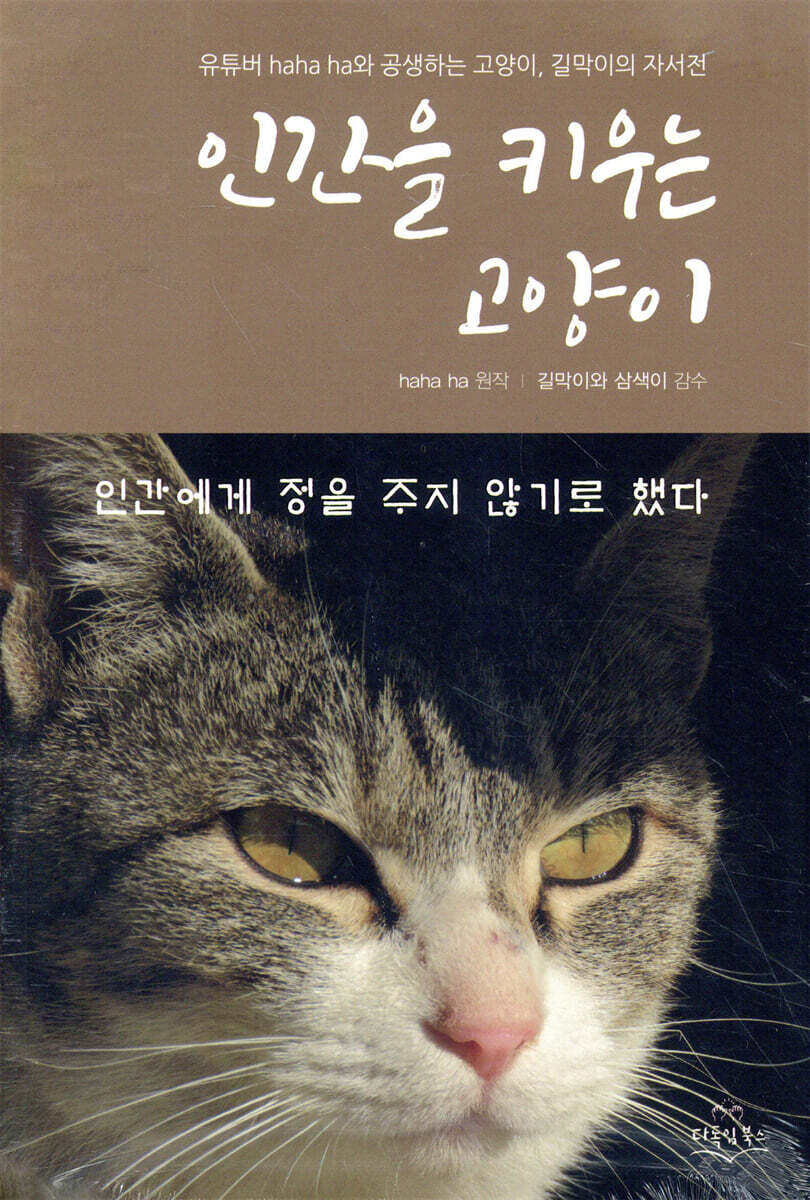 인간을 키우는 고양이