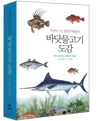 바닷물고기 도감: 세밀화로 그린 보리 어린이 도감