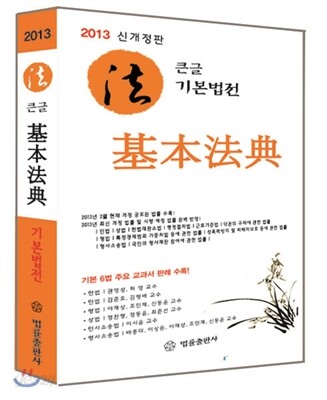 2013 큰글 기본법전