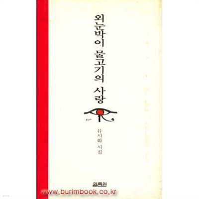 외눈박이 물고기의 사랑 류시화 시집 하드커버 (801-3/797-4)