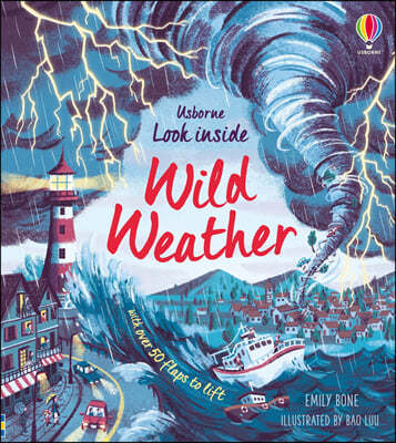 Look Inside : Wild Weather