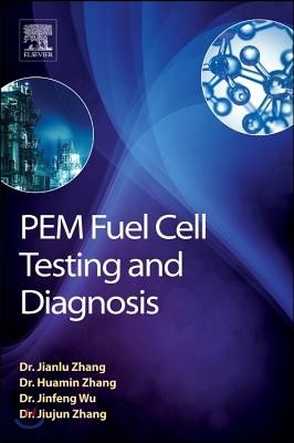 Pem Fuel Cell Testing and Diagnosis