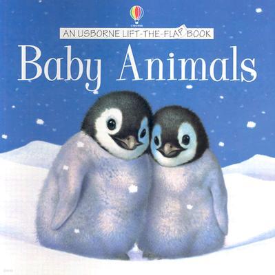 Baby Animals Flap Book