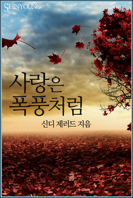 사랑은 폭풍처럼