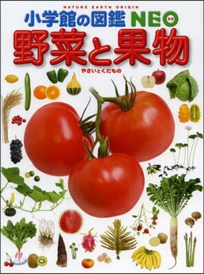 野菜と果物