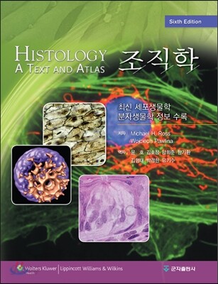조직학