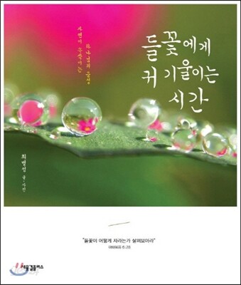들꽃에게 귀 기울이는 시간