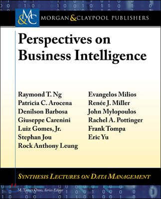 Perspectives on Business Intelligence