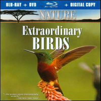 Nature: Extraordinary Birds (ڿ: Ư ) (ѱ۹ڸ)(Blu-ray+DVD+Digital Copy) (2011)