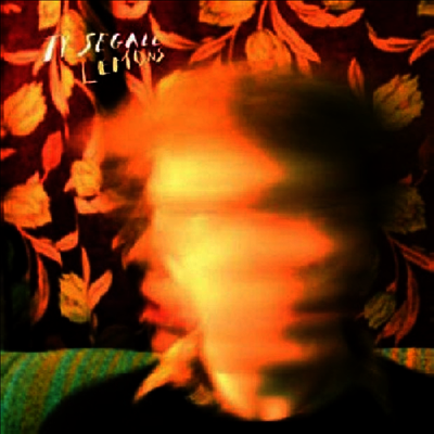 Ty Segall — Lemons (MP3 Download) 앨범 커버