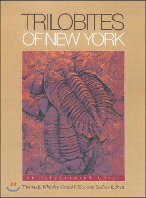 Trilobites of New York: Institutions and Social Conflict, 1946-1970