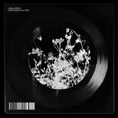 Loma Prieta — Continuum / Fate 앨범 커버