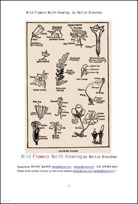 ˾ƾ ġ ִ  ߻ʵ (Wild Flowers Worth Knowing, by Neltje Blanchan)