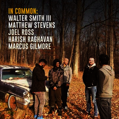 Walter Smith III - In Common (Deluxe Edition)(MP3 Download)(Gatefold)(180g)(LP)