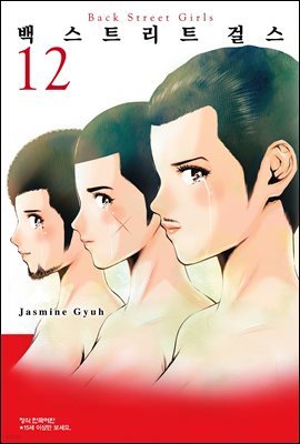 백 스트리트 걸스 (Back street girls) 12권 (완결)