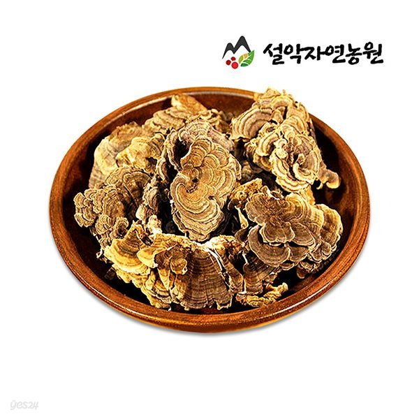 설악자연농원 운지버섯 600g 설악약초