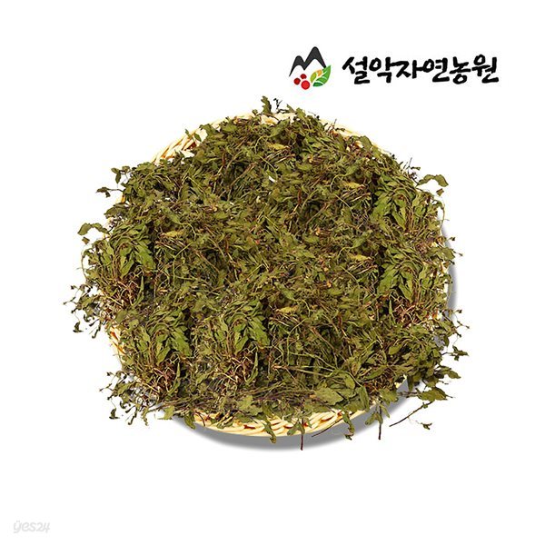 설악자연농원 곰보배추 600g 설악약초