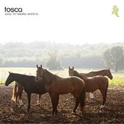 Tosca / Pony No Hassle Versions (수입)