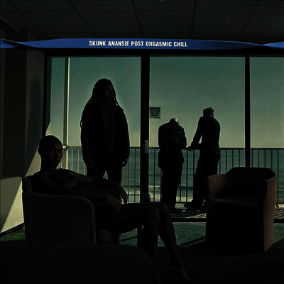 Skunk Anansie — Post Orgasmic Chill (Gatefold) 앨범 커버