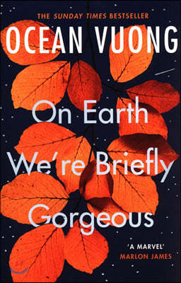 On Earth We're Briefly Gorgeous