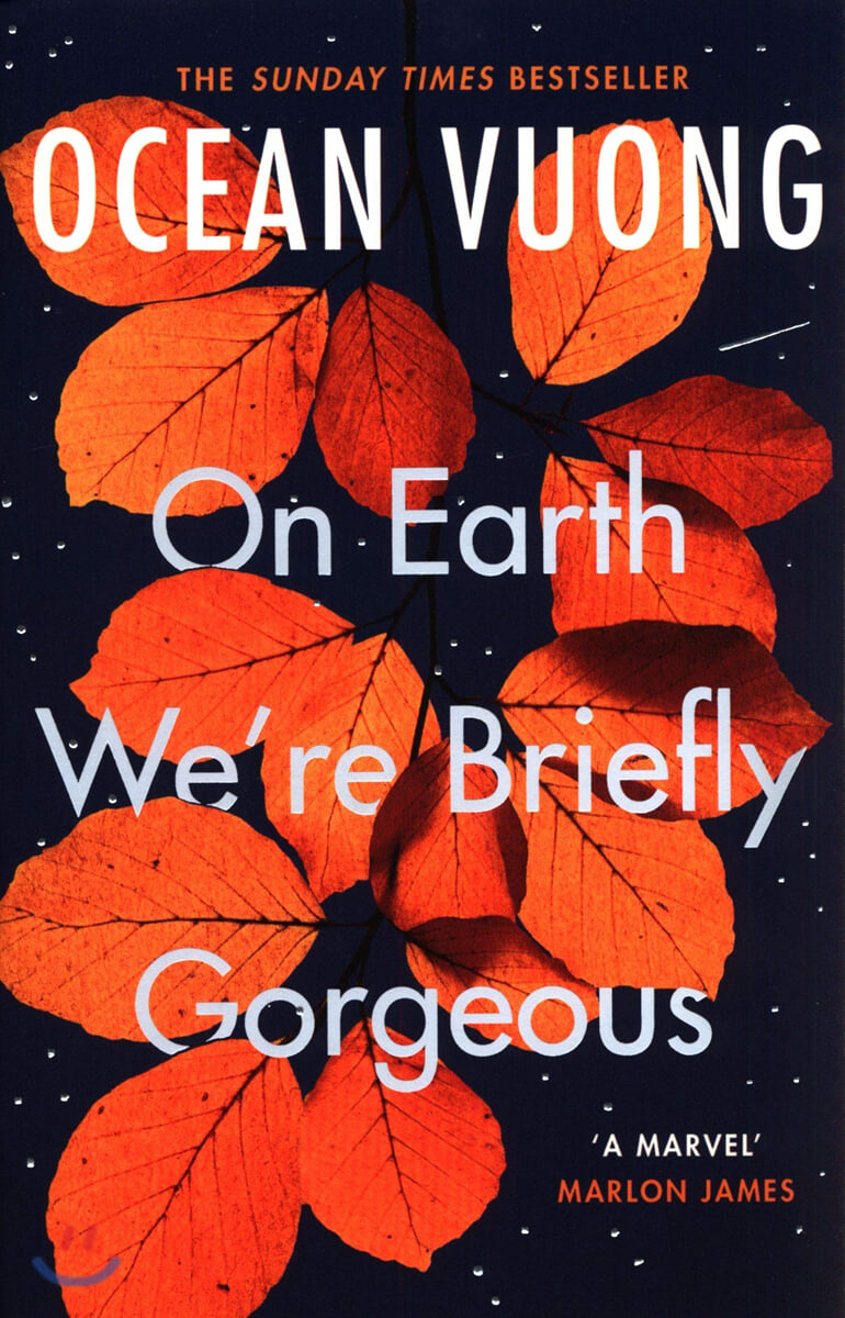 On Earth We're Briefly Gorgeous