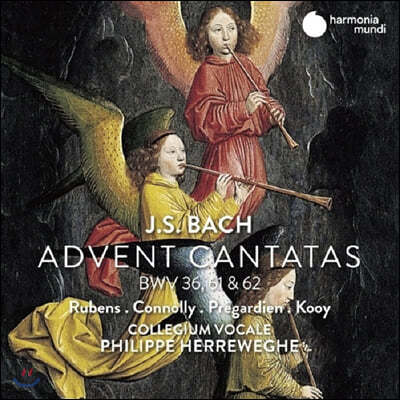 Philippe Herreweghe 바흐: 강림절 칸타타 (Bach: Advent Cantatas BWV36, 61, 62)