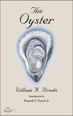 The Oyster
