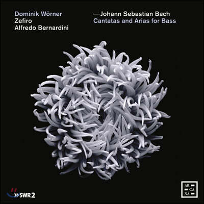 Dominik Worner 바흐: 베이스를 위한 칸타타와 아리아 (Bach: Cantatas and Arias for Bass)