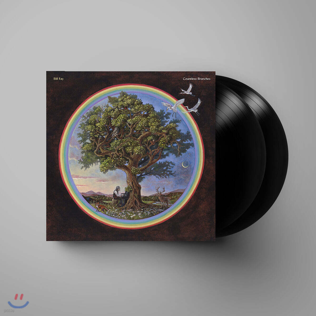 Bill Fay (빌 페이) - 3집 Countless Branches (Deluxe Edition) [2LP]