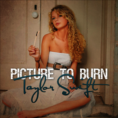 Taylor Swift - Picture To Burn (Ltd)(7 Inch Single LP)