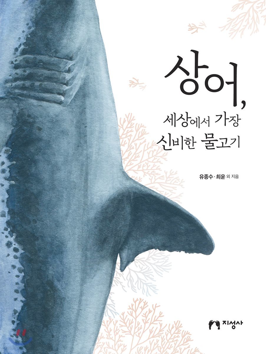 상어, 세상에서 가장 신비한 물고기