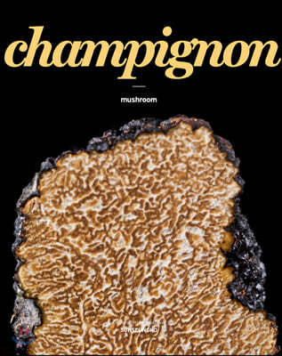 champignon 버섯