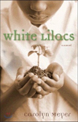 White Lilacs