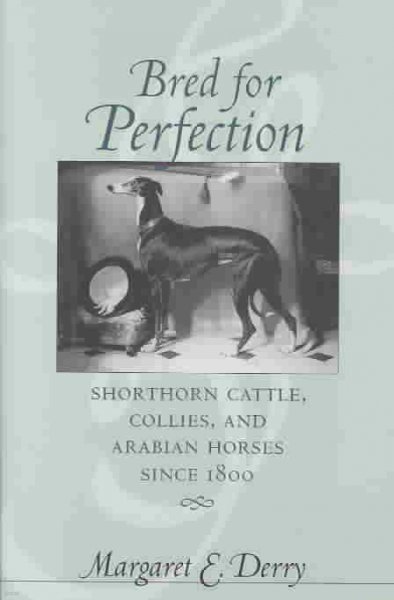 Bred for Perfection: Shorthorn Cattle, Collies, and Arabian Horses Since 1800