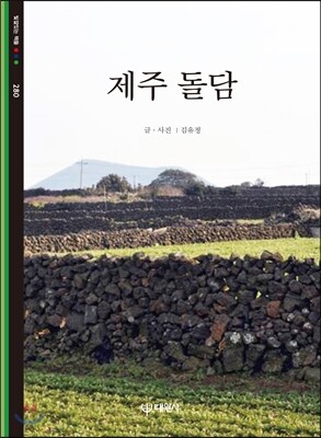 제주 돌담