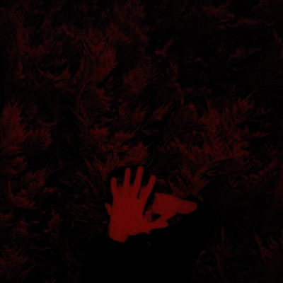 Cory Hanson - Unborn Capitalist From Limbo (LP)