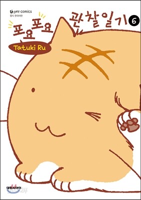 포요포요 관찰일기 6