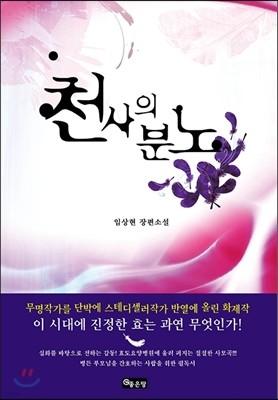 천사의 분노