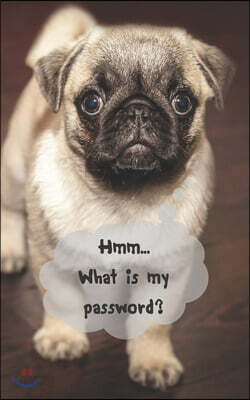 Hmm...What is my password?: Password Logbook Organizer Username and Password Notebook Password Keeper Plain Security Question and Answer
