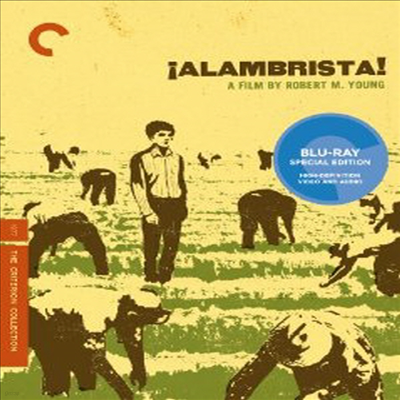 ¡Alambrista! : The Criterion Collection (˶긮Ÿ) (ѱ۹ڸ)(Blu-ray) (2012)