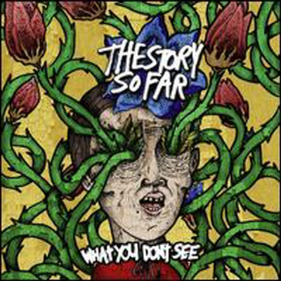 Story So Far - What You Don'T See (CD)