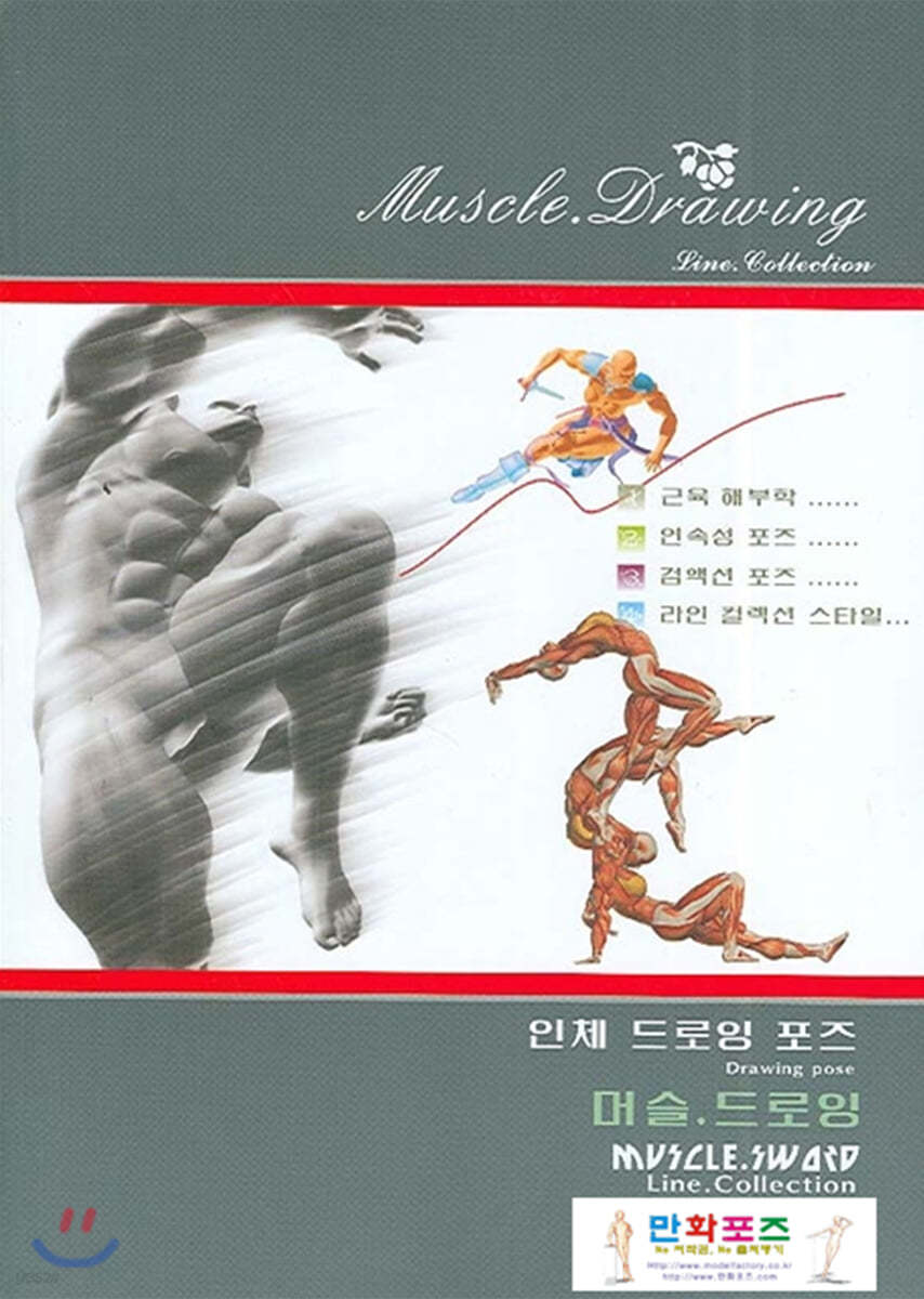 머슬 드로잉 Muscle drawing