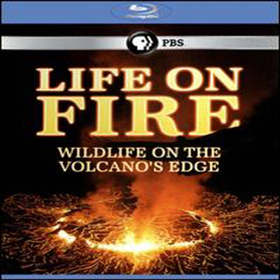 Life on Fire: Wildlife on the Volcanos Edge (ȭ  Ȱ) (ѱ۹ڸ)(2Blu-ray) (2013)