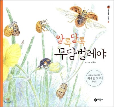 알록달록 무당벌레야